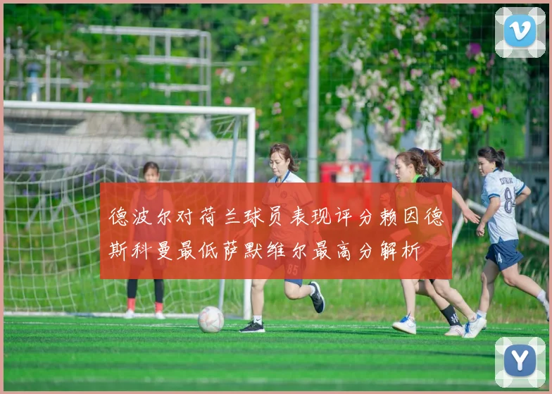 德波尔对荷兰球员表现评分赖因德斯科曼最低萨默维尔最高分解析